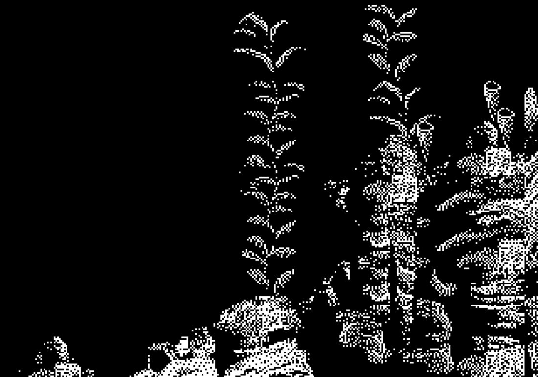 Ecco — X9