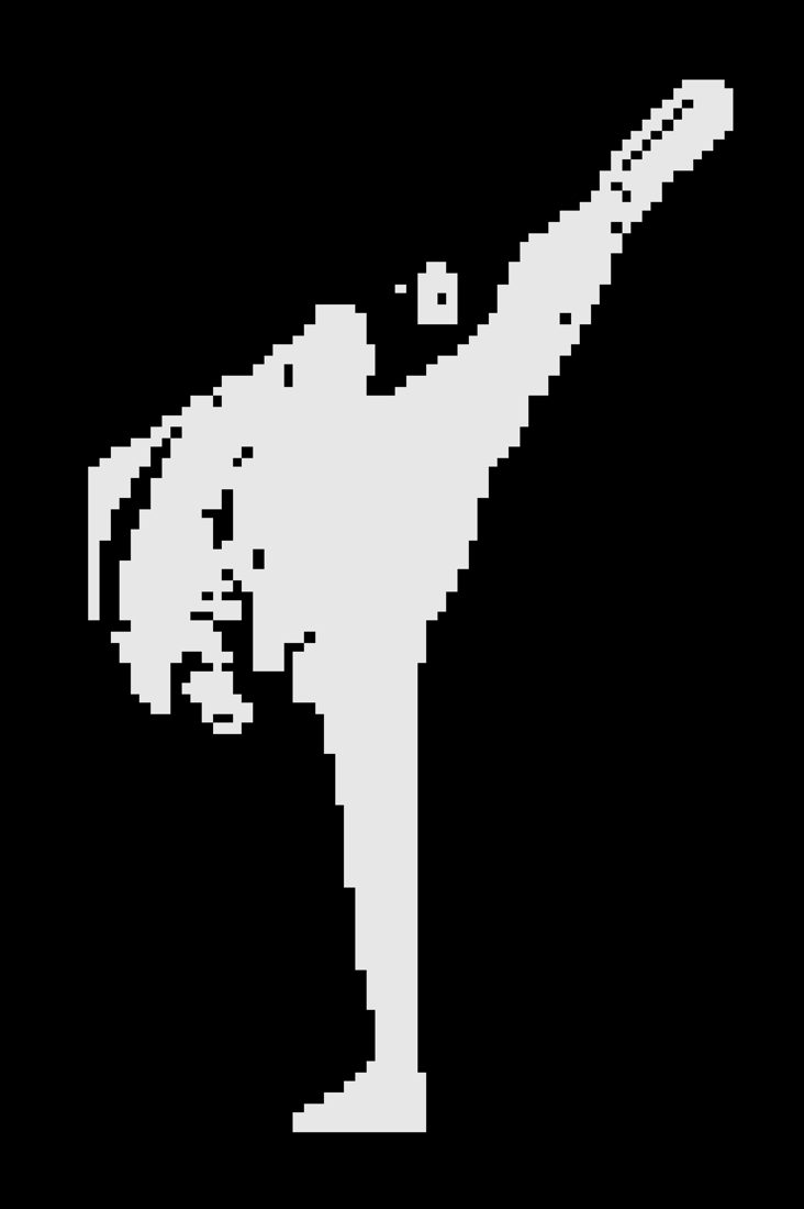 BW HI Kick — X9